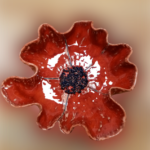 mak wykonany z gliny czerwony